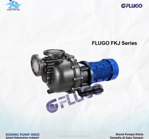 Dosing Pump Flugo FKJ Series